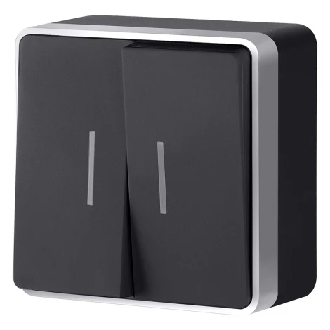 Выключатель двухклавишный с подсветкой Gallant Werkel W5020134 (черный с серебром)