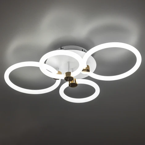 Потолочная люстра светодиодная с ДУ Ritter Ottimo 51612 9