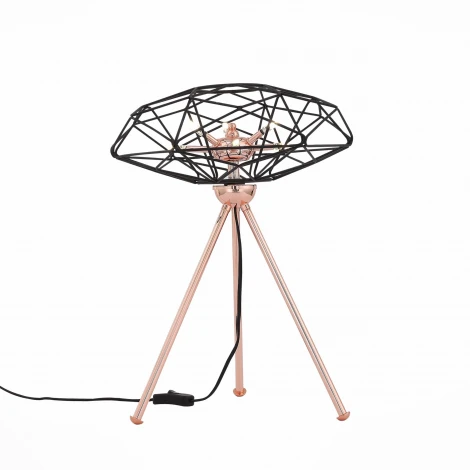 Интерьерная настольная лампа ST Luce Galassia SL949.204.06