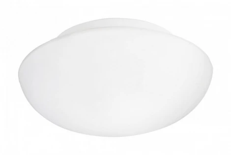 Настенно-потолочный светильник Eglo Ella 83404