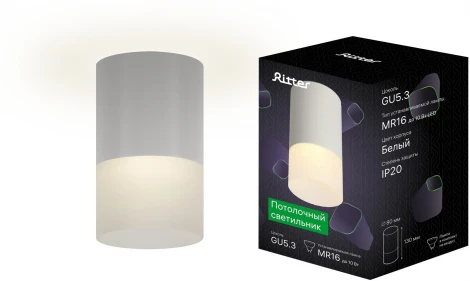 Накладной светильник Ritter Essen 52061 0