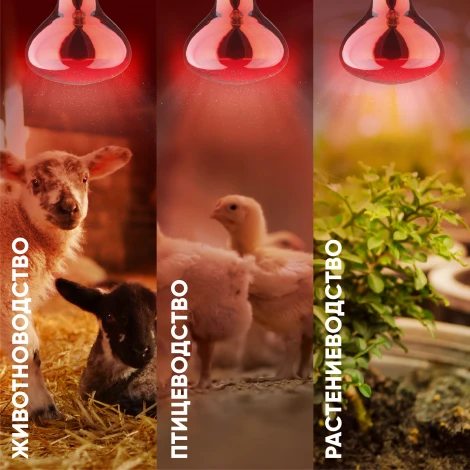 Лампочка инфракрасная E27 220 Вт ЭРА ИКЗК 230-150 R127