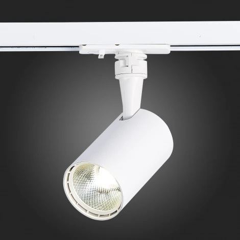 Трековый светильник ST Luce Cami ST351.536.10.24 (LED, 220V, круглые, IP22)