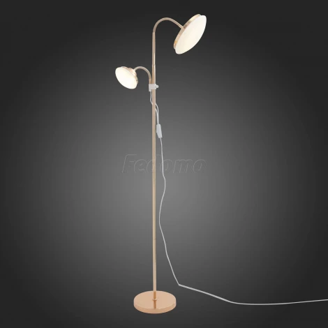 Торшер ST Luce Pratico SLE120.205.02