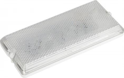 Настенно-потолочный светильник светодиодный ЭРА ДБО 01-12-001 (220V, IP54)