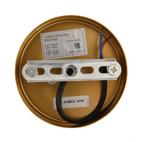 Потолочная люстра на штанге Lumion Larina 8323/5C латунь/белый, металл/стекло/дерево E27 5*60W 220V