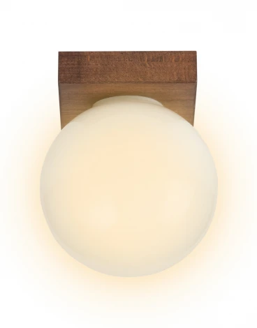 Потолочный светильник прямоугольный Мелодия Света SS1N 000036820