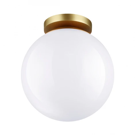 Потолочный светильник уличный Odeon Light Bosco 4248/1C (220V, шар, IP44)