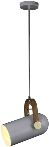 Подвесной светильник Natali Kovaltseva Loft Lux 77033-1P WHITE