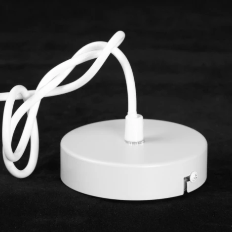 Подвесная люстра Lussole LSP-8970 (220V, на тросе)