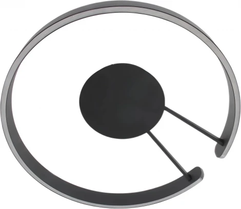 Потолочный светильник круглый светодиодный с пультом Mizi'en Leo MZ31371-600-PB (220V, кольцо)