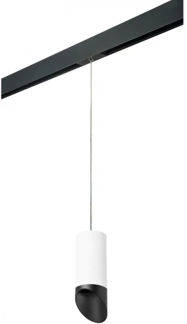 Трековый светильник однофазный 220V Lightstar Rullo PRORP648687 (круглые)