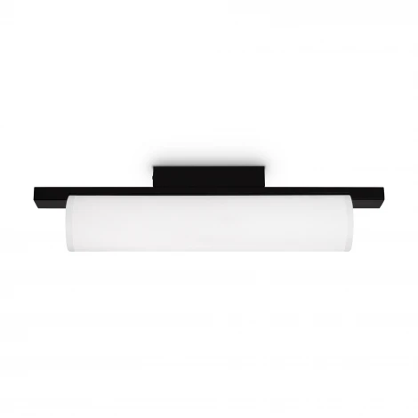 Потолочный светильник Freya Even FR5625CL-L20B