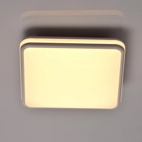 Потолочный светильник MW-Light Ривз 674013201