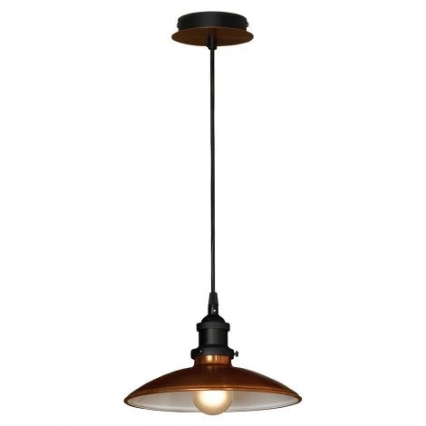 Подвесной светильник Lussole Loft LSL LSL-6806-01