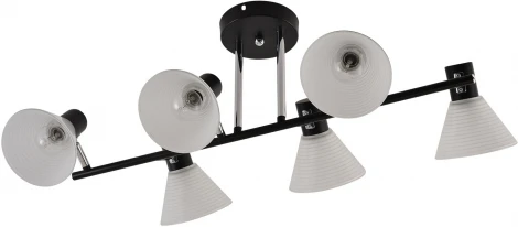 Потолочная люстра на штанге Reluce 01553-3.3-06B BK+CR (220V)