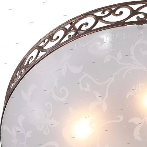 Потолочный светильник ST Luce Mezzo SL244.202.06