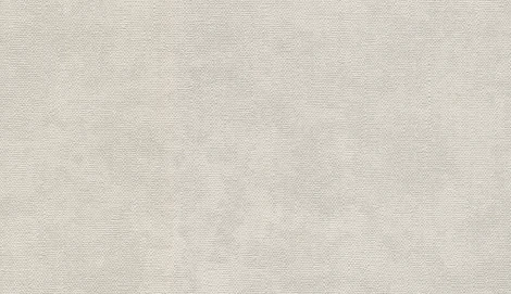 Обои виниловые Marburg Natural Vibes 32378 10,05 x 1,06 м