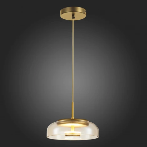 Подвесной светильник ST Luce Lazio SL6002.203.01 (LED, 220V, на проводе, круглые)