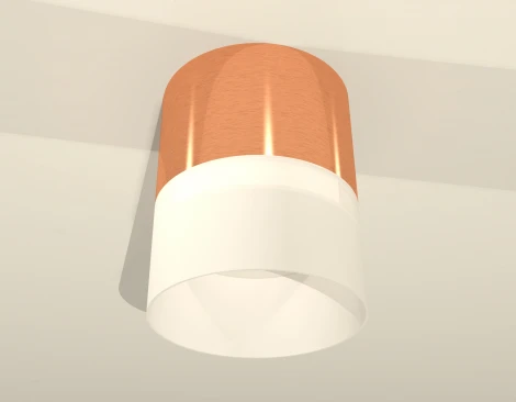 Накладной точечный светильник Ambrella Techno Spot XS8122011 (круглые)