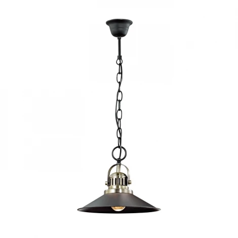 Подвесной светильник Odeon Light Latura 2898/1