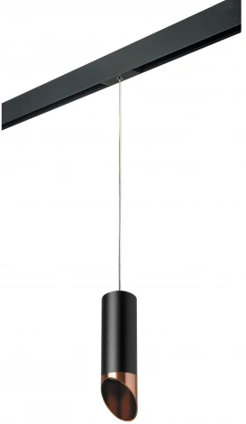 Трековый светильник однофазный 220V Lightstar Rullo PRORP487130 (круглые)