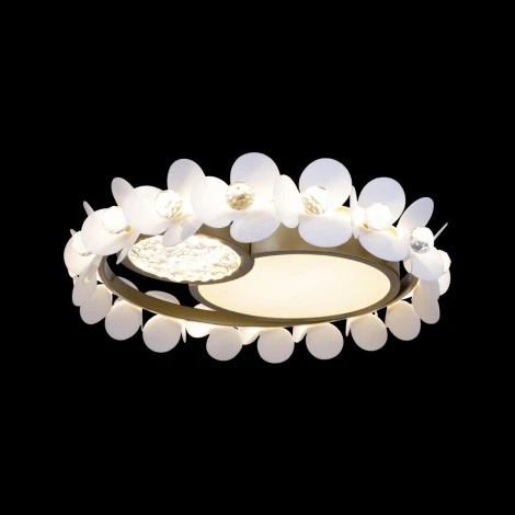 Потолочный светильник Bride 10173 (LED, 220V, цветы, круглые)