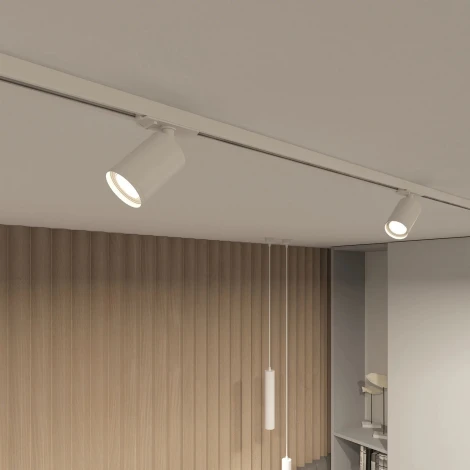 Трековый светильник Denkirs DK620 DK6201-WH (220V, круглые)