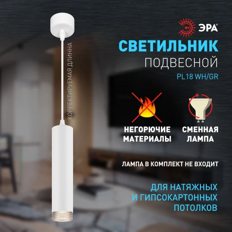 Подвесной светильник ЭРА PL18 WH/GR (220V, на проводе)