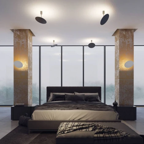 Потолочная люстра Odeon Light Whittaker 3843/12CL