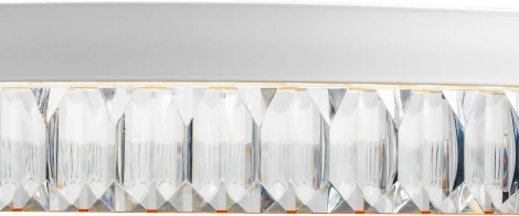 Подвесной светильник светодиодный с ДУ Ritter Lucido 52934 1