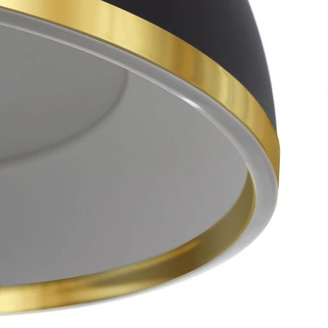 Подвесной светильник светодиодный Citilux Floom CL736251 Черный+Золото