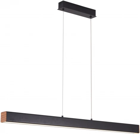 Подвесной светильник Zortes Dormi ZRS.33310.75 (LED, 220V, на тросе)