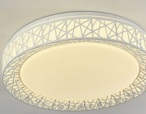 Потолочный светильник F-Promo Creatura 2314-5C