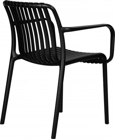 Стул обеденный DOBRIN WALTER ARM (черный (B-03))