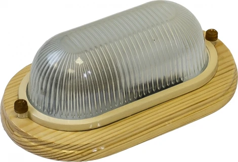 Настенно-потолочный светильник Эра НБО 04-60-011 (220V, IP54)