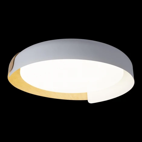 Потолочный светильник круглый Coin 10198 White Loft It (LED, 220V, круглые)