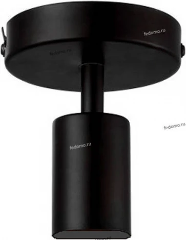 Потолочный светильник Arte Lamp Fuori A9184PL-1BK