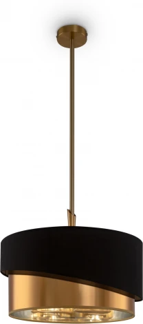 Потолочная люстра на штанге Freya Earth FR5171PL-06BS (220V, круглые)