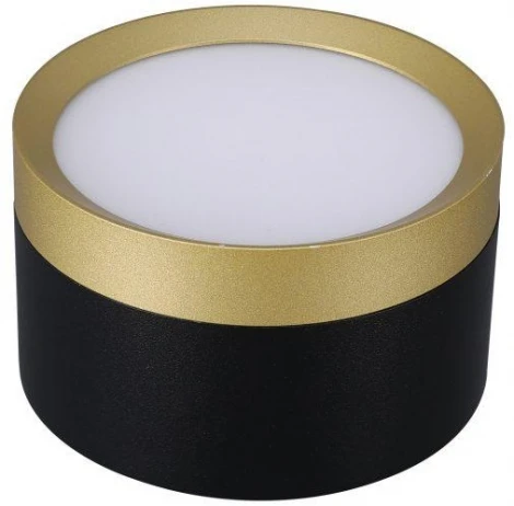 Точечный накладной светильник Lucia Tucci Fumi LTP-D002-01GX53-BG