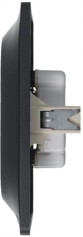 Розетка встраиваемая двойная без заземления (антрацит) Systeme Electric Glossa GSL000720