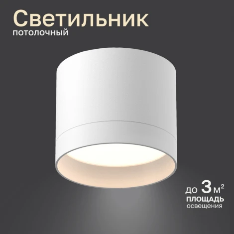 Потолочный светильник Nuvolt Bein LDL-005W