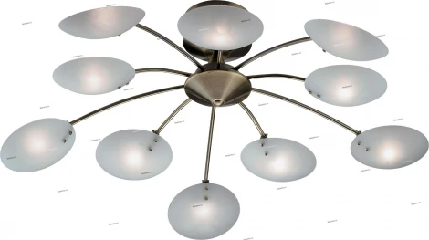 Потолочная люстра Odeon Light Kera 1377/10