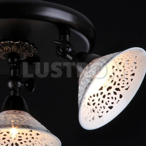 Спот Maytoni Spot 2 ECO002-33-R