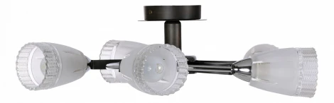 Потолочная люстра IDLamp Carlotta 865/5PF-Darkchrome