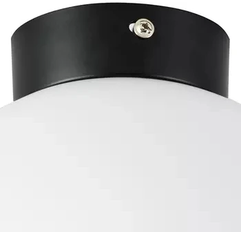 Потолочный светильник круглый Lightstar Globo 812027 (220V, шар)