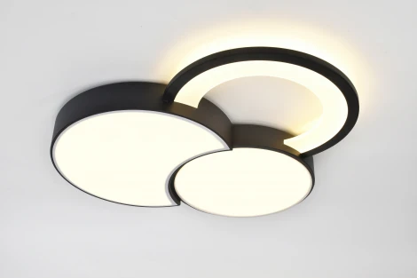 Потолочная светодиодная люстра с ПДУ Rivoli Aliona 6161-702 (регулировка яркости, 220V)