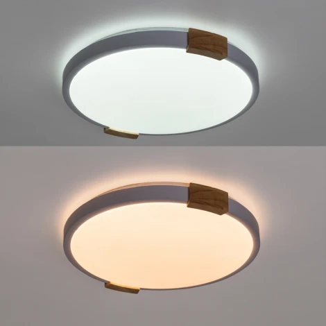 Потолочный светильник Arte Lamp Jersey A2684PL-72WH