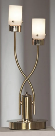 Интерьерная настольная лампа Lussole Bari LSQ-9214-02
