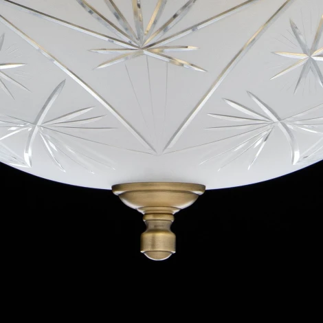 Подвесная люстра MW-Light Афродита 317012104